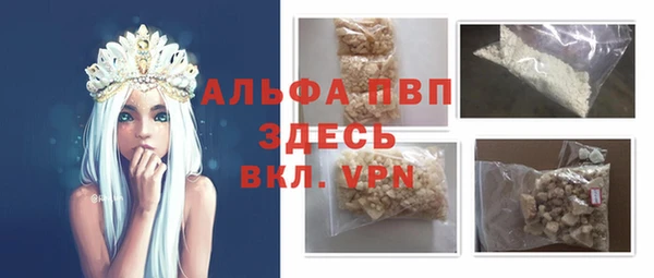 СК Покачи