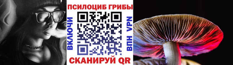 это Telegram  Сосновка  Псилоцибиновые грибы Magic Shrooms 