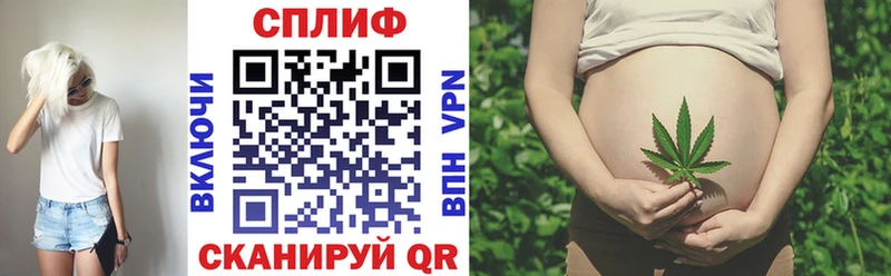 Конопля ГИДРОПОН Сосновка